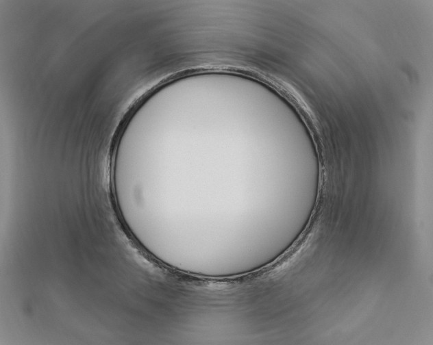 X0000112910839200908241006