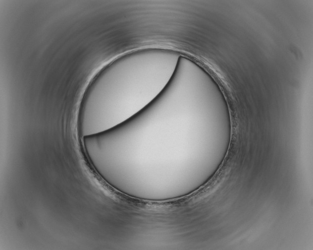 X0000112910840200908241006