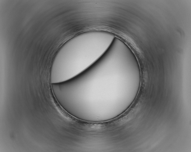 X0000112910841200908241006