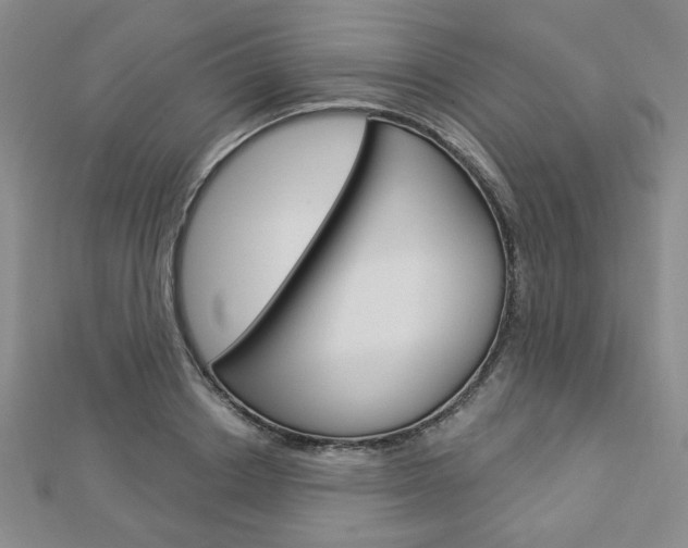 X0000112910842200908241006