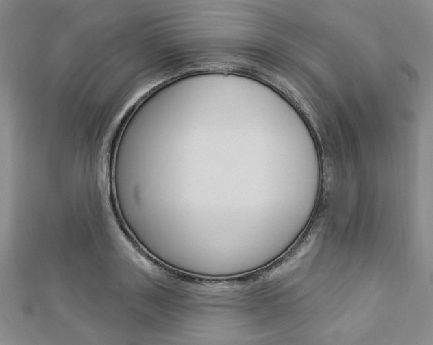 X0000112910843200908241006