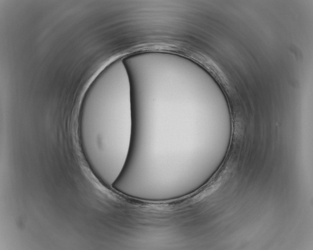 X0000112910844200908241006
