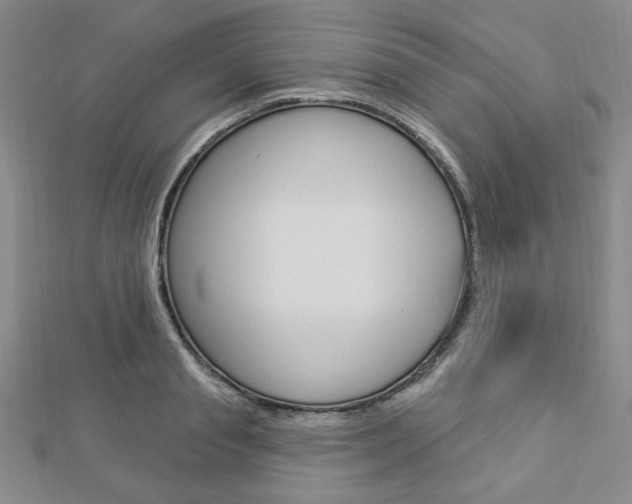 X0000112910845200908241006