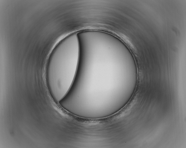 X0000112910846200908241006