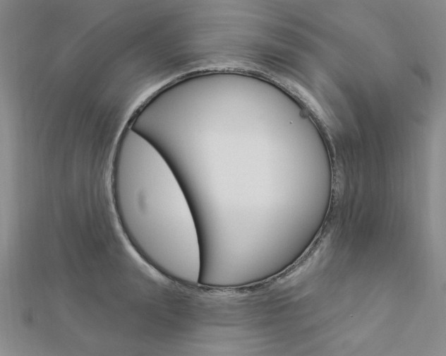 X0000112910847200908241006