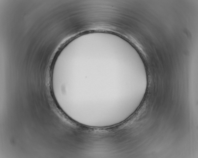 X0000112910848200908241006