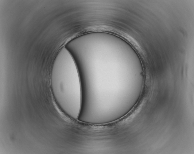 X0000112910849200908241006