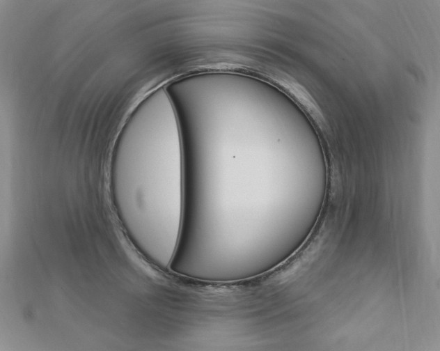 X0000112910850200908241006