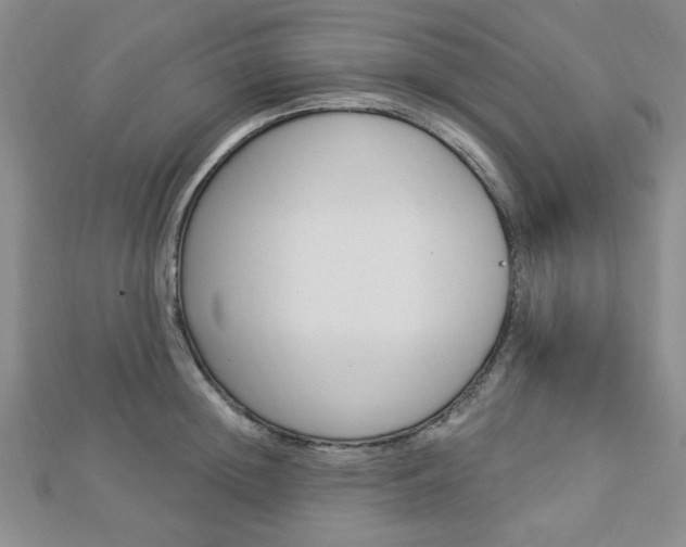 X0000112910852200908241006