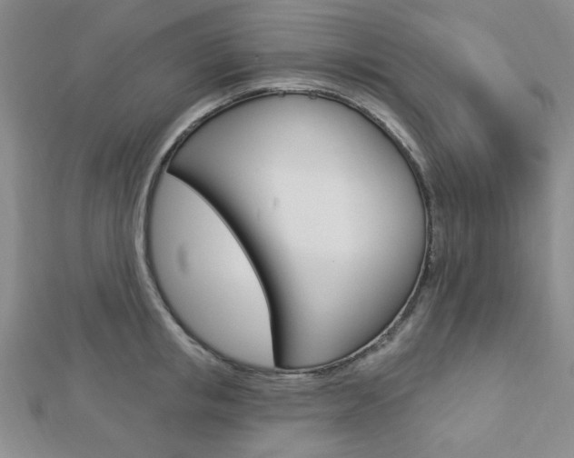 X0000112910853200908241006