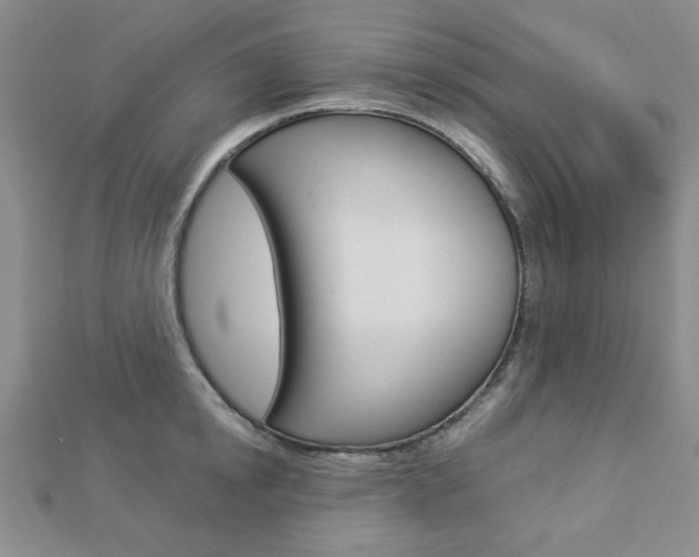 X0000112910854200908241006