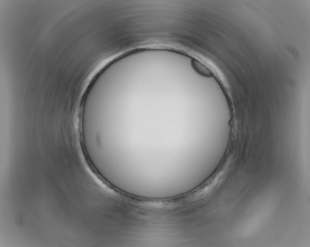 X0000112910855200908241006