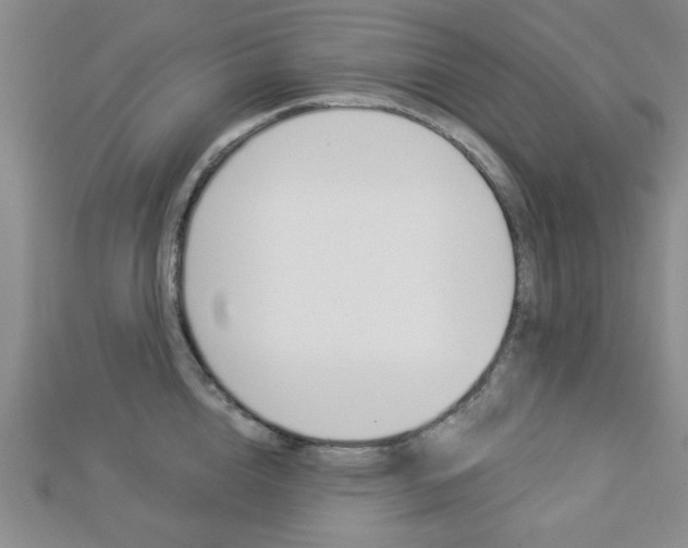 X0000112910856200908241006