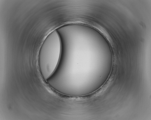 X0000112910858200908241006