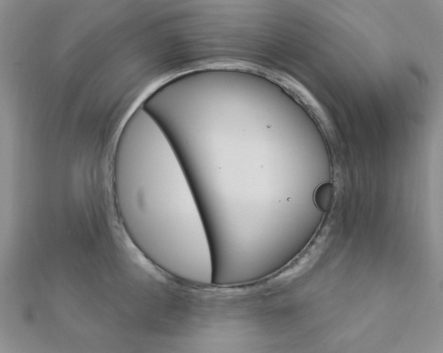 X0000112910860200908241006