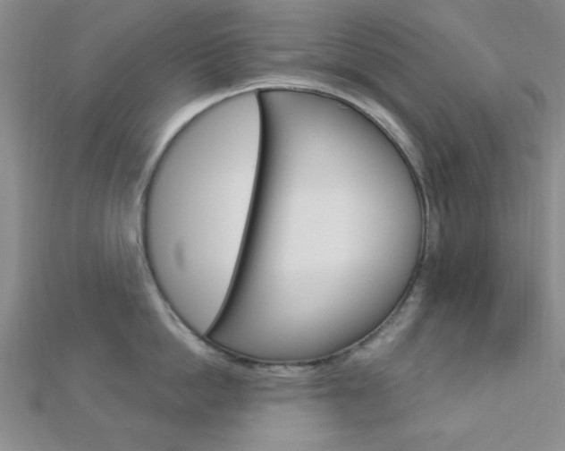 X0000112910862200908241006