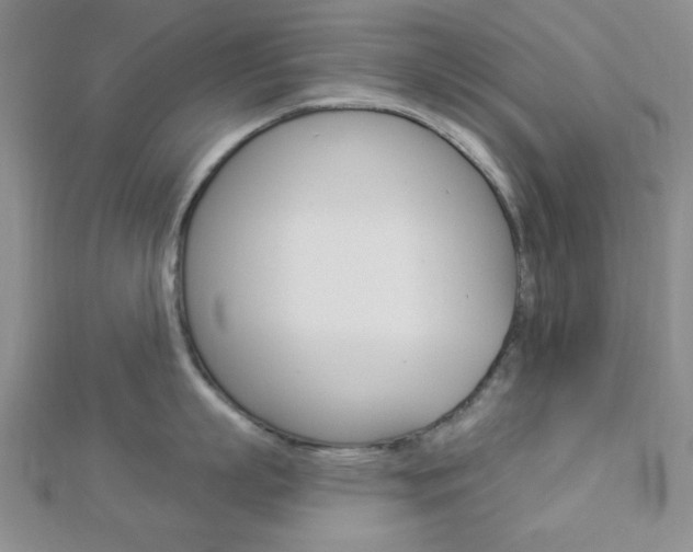 X0000112910863200908241006