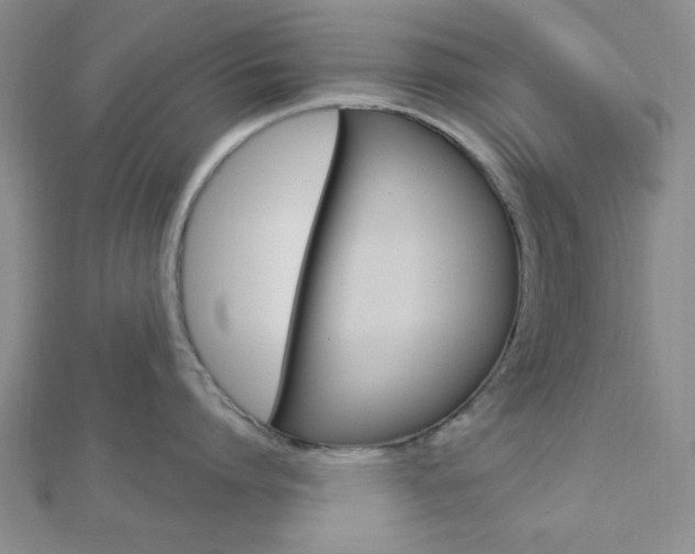 X0000112910864200908241006