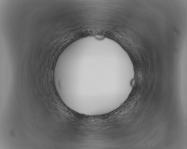 X0000112910865200908241005