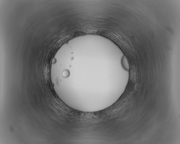 X0000112910866200908241005