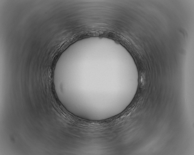 X0000112910867200908241005