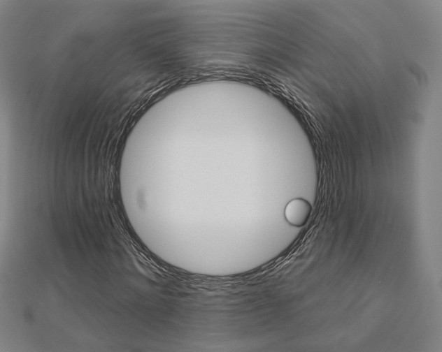 X0000112910868200908241005
