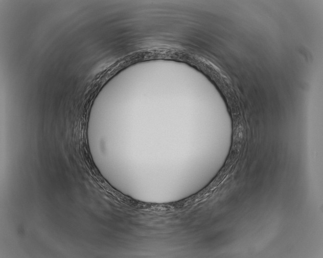 X0000112910869200908241005