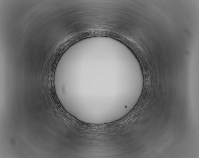 X0000112910870200908241005