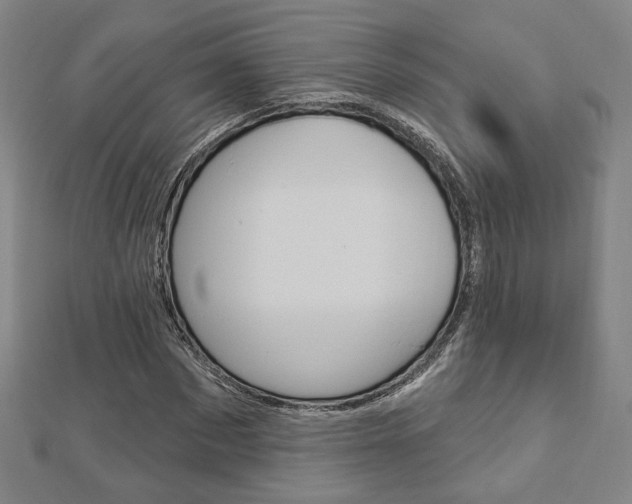 X0000112910873200908241005