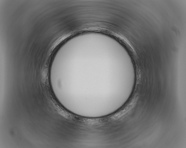 X0000112910874200908241005