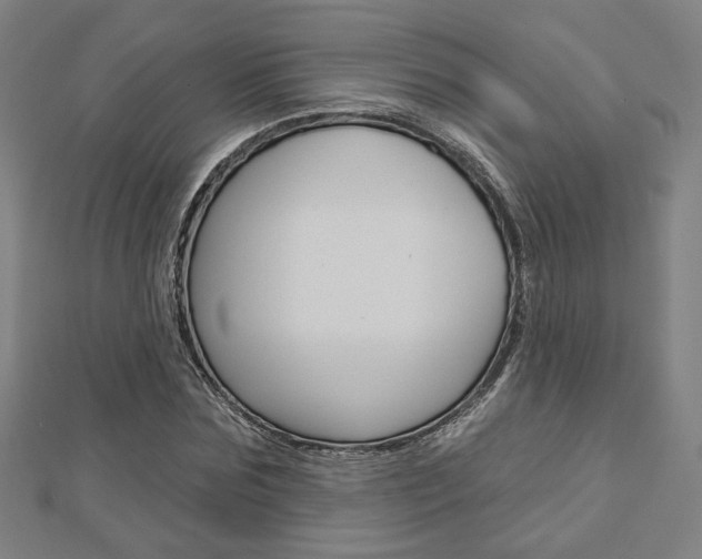 X0000112910875200908241005
