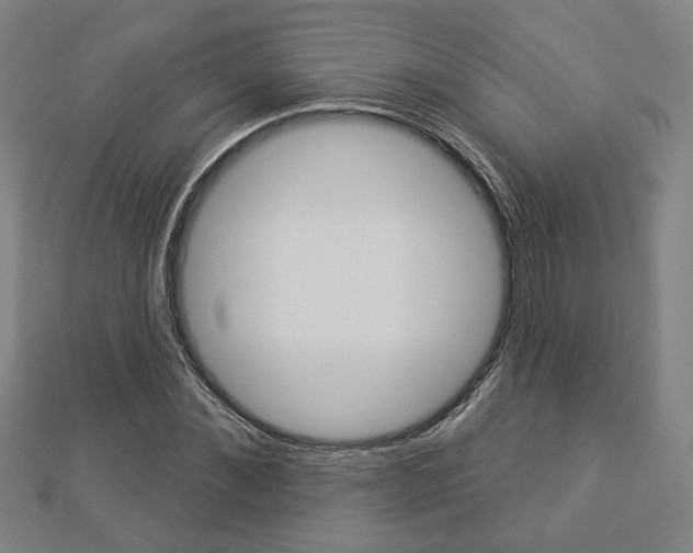 X0000112910876200908241005