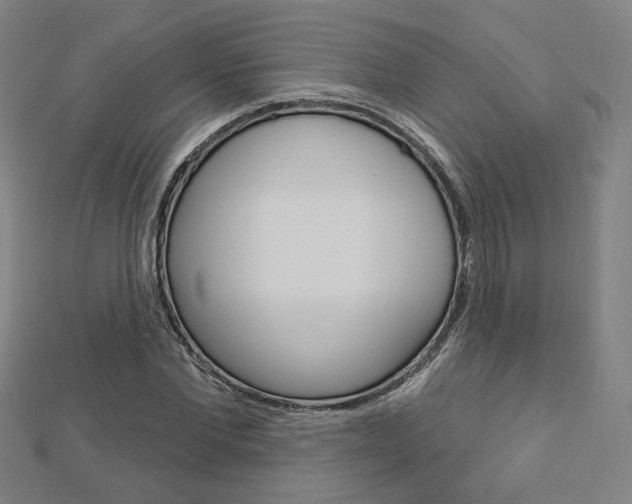 X0000112910877200908241005