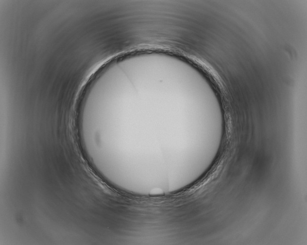 X0000112910878200908241005