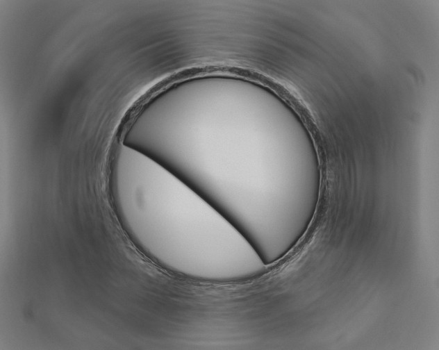 X0000112910879200908241005