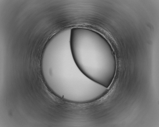 X0000112910881200908241005