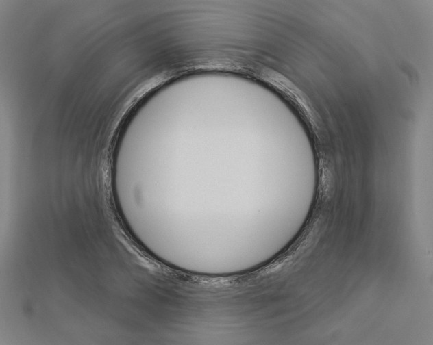 X0000112910882200908241005