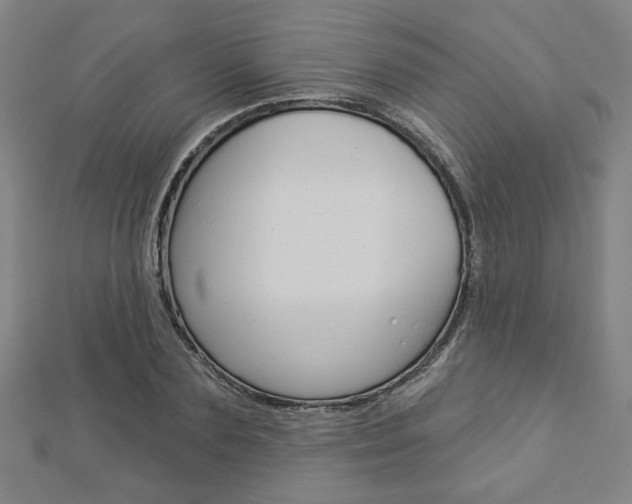 X0000112910883200908241005