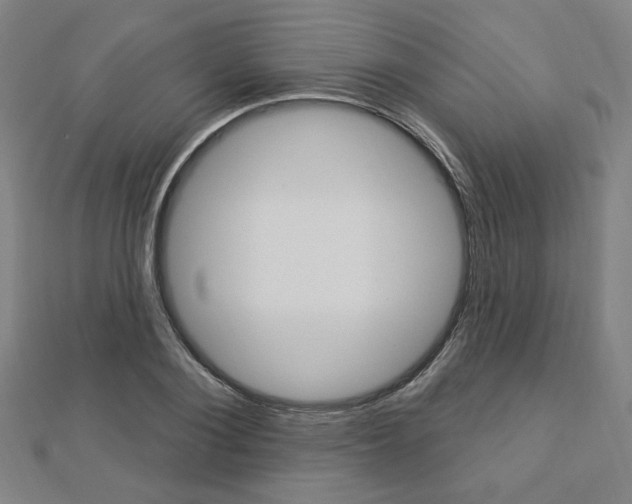 X0000112910884200908241005