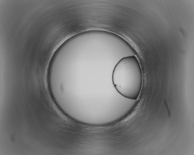 X0000112910885200908241005