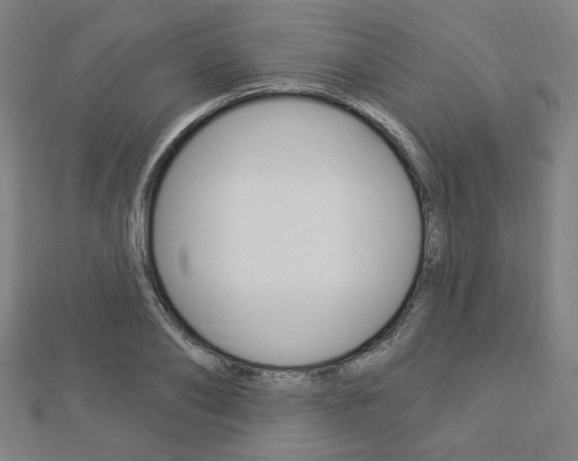 X0000112910886200908241005