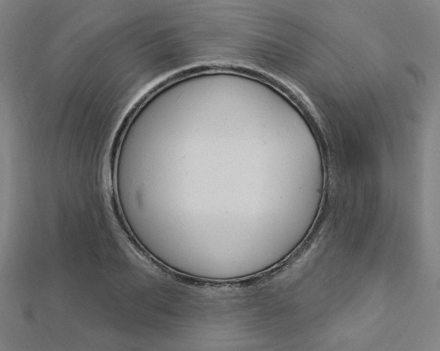 X0000112910887200908241005