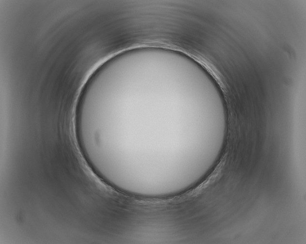 X0000112910888200908241005