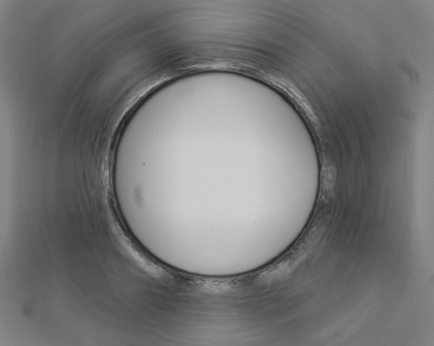 X0000112910890200908241005