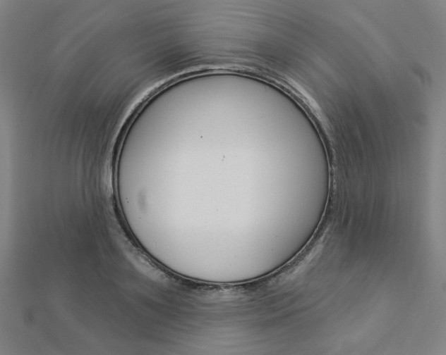 X0000112910891200908241005