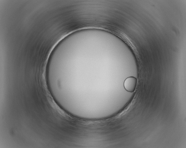 X0000112910892200908241005