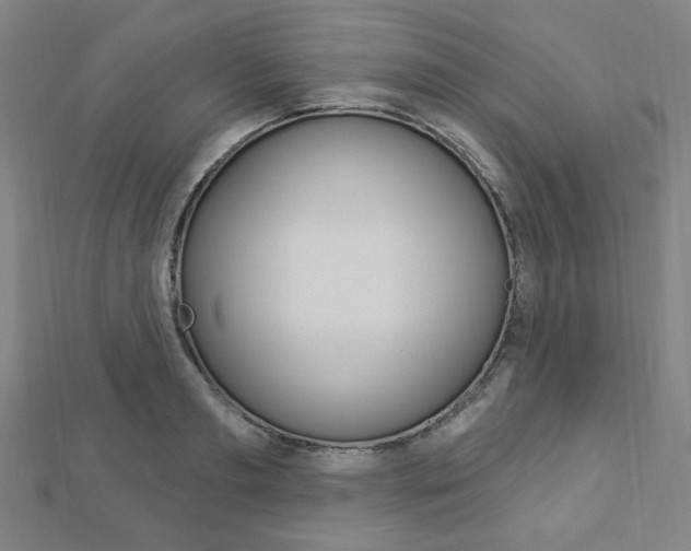 X0000112910893200908241005