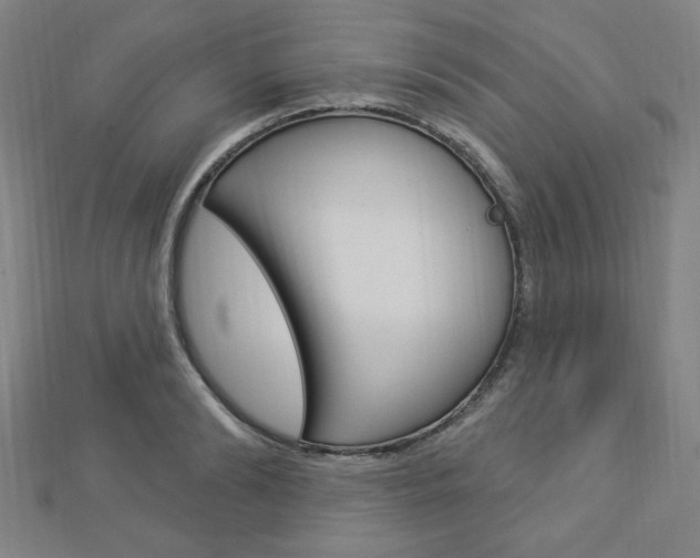 X0000112910894200908241005