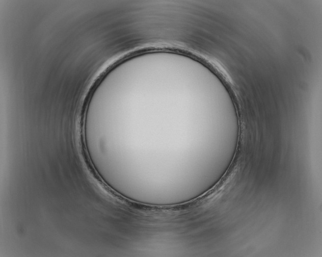 X0000112910895200908241005