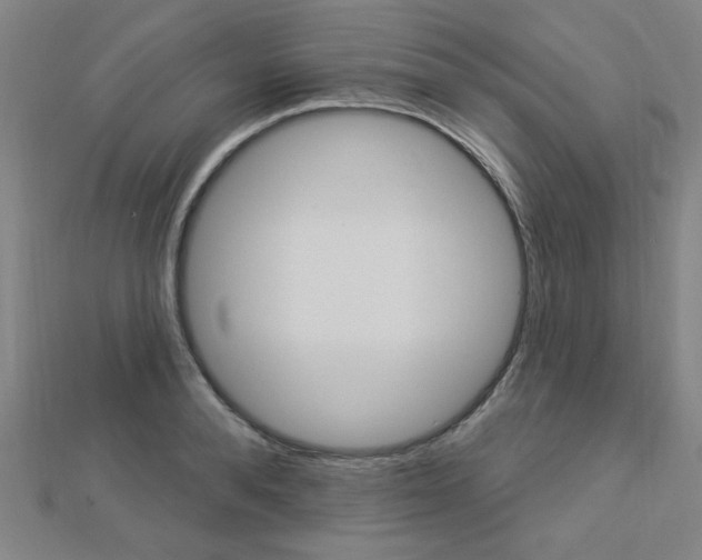 X0000112910896200908241005